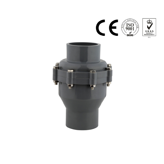 Durable PVC/PP/PVDF 20mm-200mm check valve for water supply
